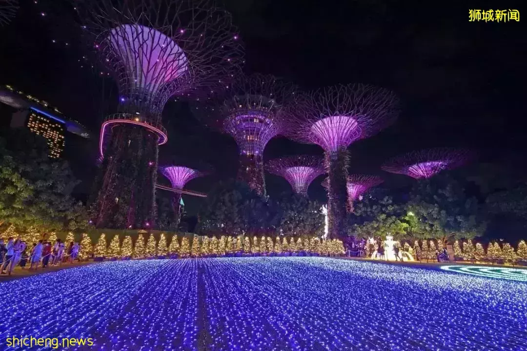 新加坡版“人從衆”模式開啓！50人集體泡腳？還有4000+人聚集活動