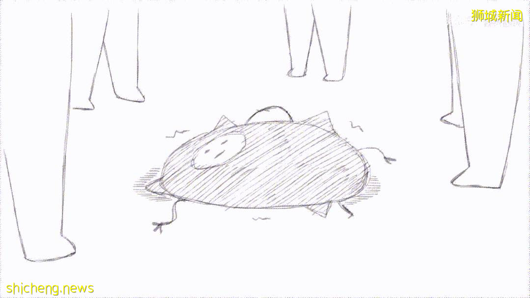 國貨之光！科興疫苗，在新加坡到底有多吃香