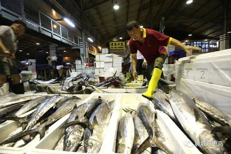 新加坡海鲜市场大盘点