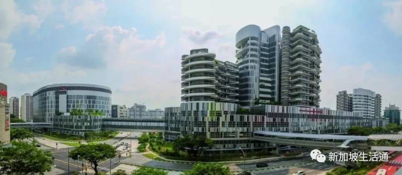 新加坡数次荣登“世界上最健康国家”排名榜首，到底有什么经验值得学习