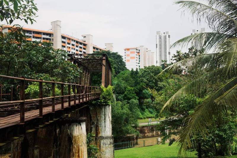 廢棄鐵路、徒步探險、網紅打卡地！ 新加坡又一隱秘的角落