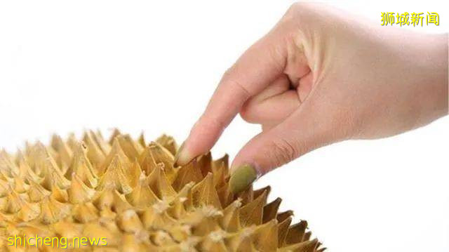 新加坡榴梿全攻略！實拍挑戰芥末和燒烤榴梿！太刺激了