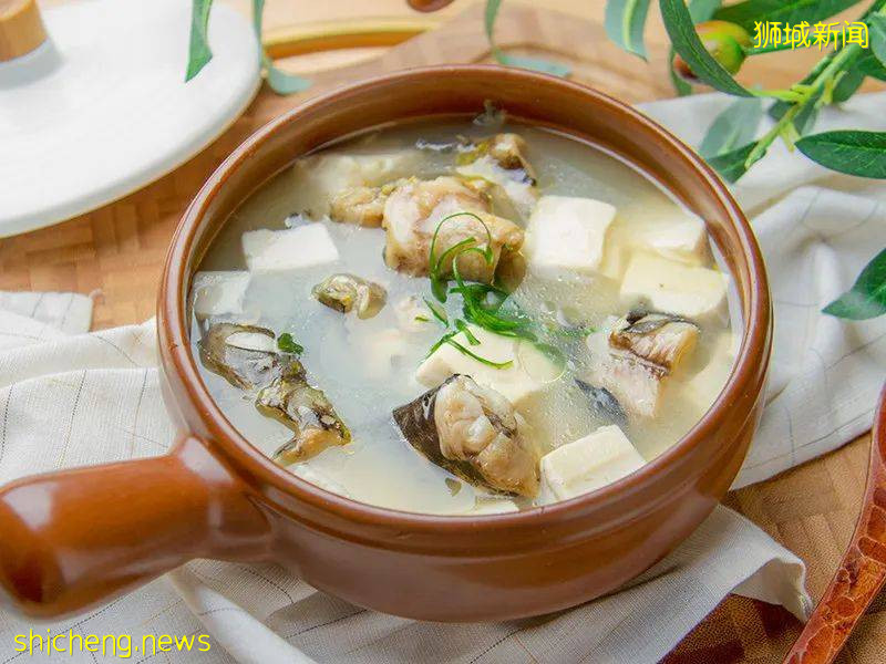 新加坡解封後,遛娃+逛街兩不誤!首家免費“水族館”來了