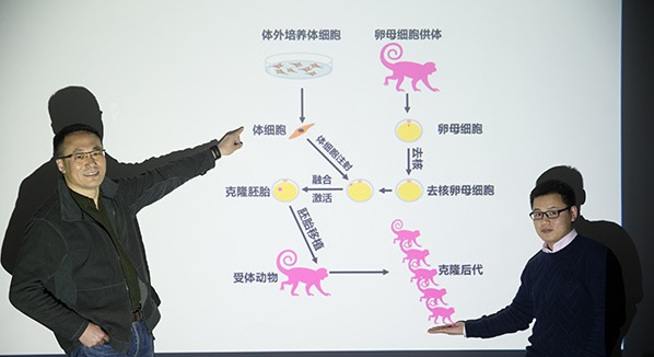 世界首批克隆猴在中国诞生 人类是下一个?