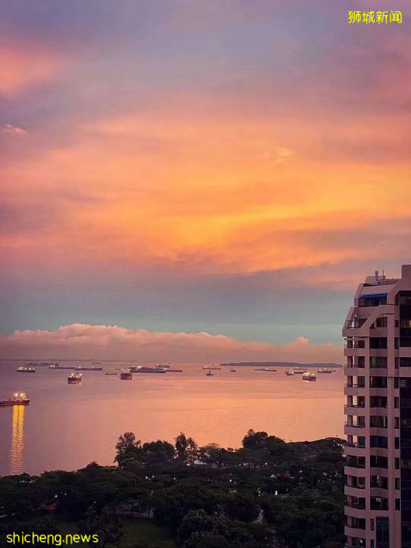 這樣的新加坡真是待不下！去！了