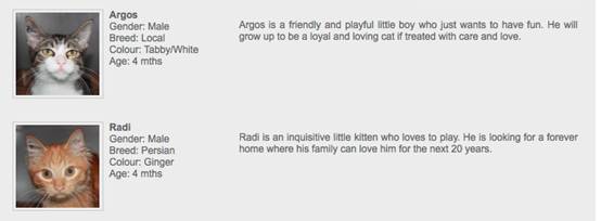 不知道這些,千萬別在新加坡養動物!