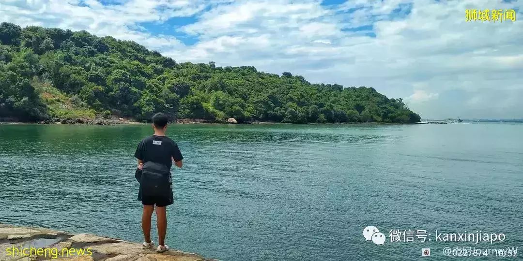 新加坡离岛攻略,半个多小时便能收获美景天堂