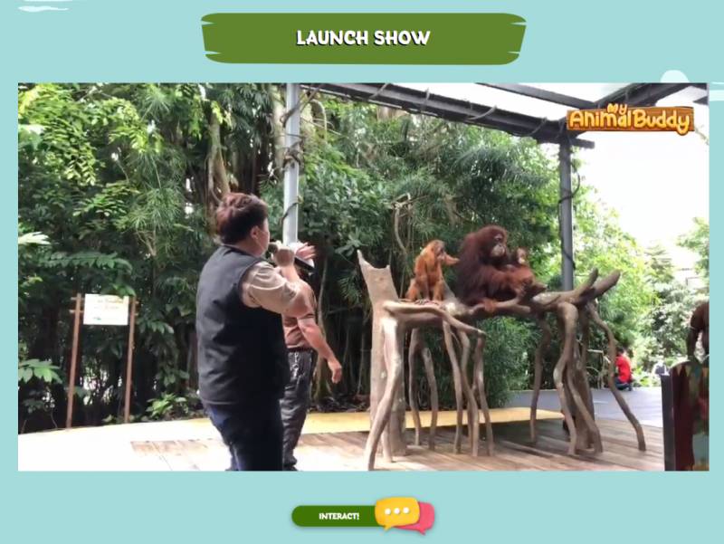新加坡野生動物保育集團“動物夥伴”計劃，足不出戶讓孩子同小動物們愉快玩耍