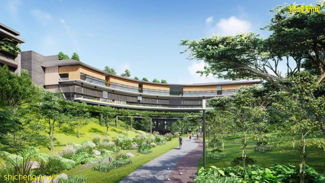 2022年留學,IB學生爲什麽要選擇新加坡