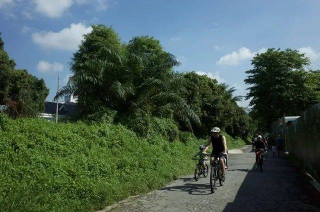 新加坡的網紅鐵軌，你打卡了嗎