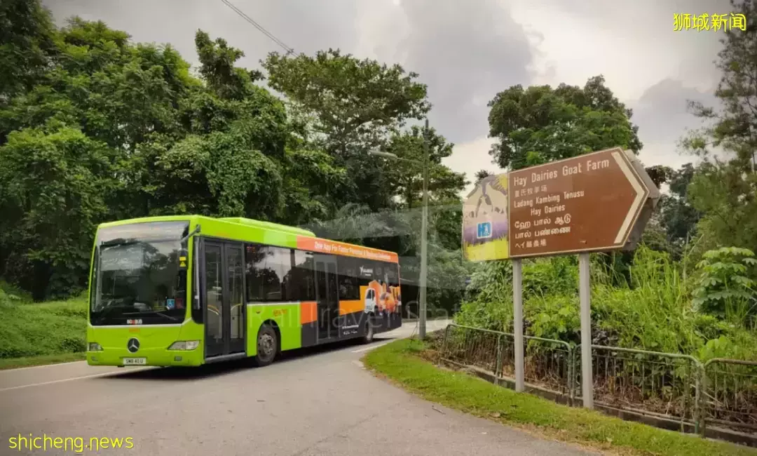 新規劃官宣！跨海長島、混合城市、地下城……未來的新加坡也太科幻了吧