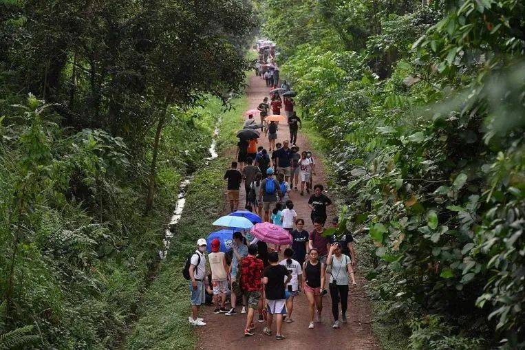 厲害了！新加坡封城一周年之際，狂開10個新景點准備迎外國遊客
