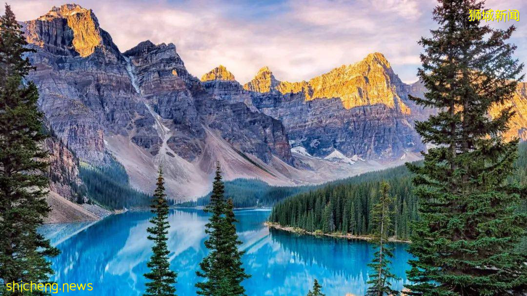 學生假期臨近 更新最新回國航班和隔離期限