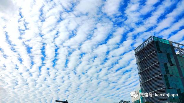 “地震雲”昨早刷爆朋友圈！很少看過這麽“怪異”的朝陽