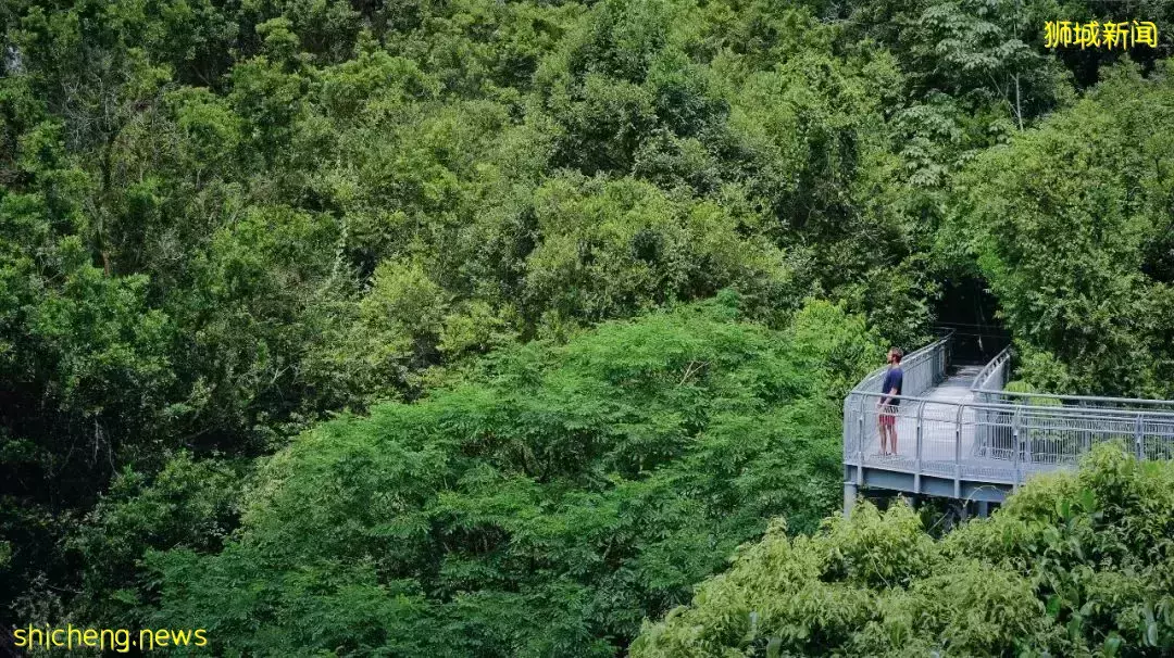 万万没想到!这些全球第一,竟都是新加坡的