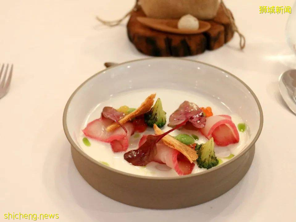 強勢回歸!米其林餐廳Alma的饕餮盛宴