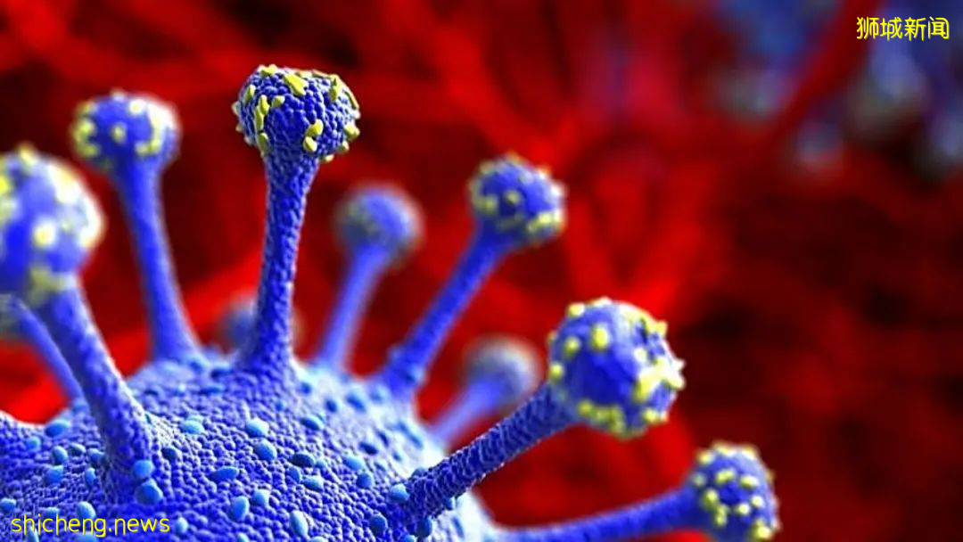 突发!神秘新变种病毒现身,新加坡紧急调整边境政策!亚洲股市暴跌