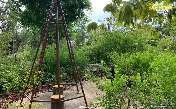 免費！新加坡最適合娃的公園，蝴蝶迷宮、沙灘小灣、瀑布、滑梯秋千