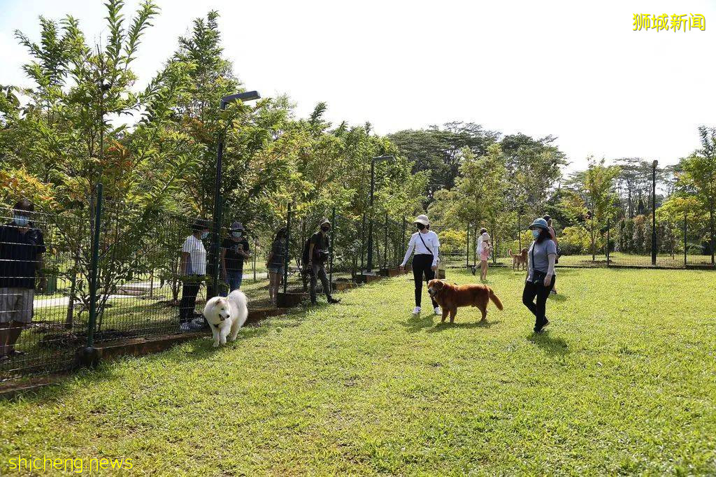 新加坡武吉甘柏公園開幕，蝴蝶園、遛狗場、山丘步道，登高遠眺好去處