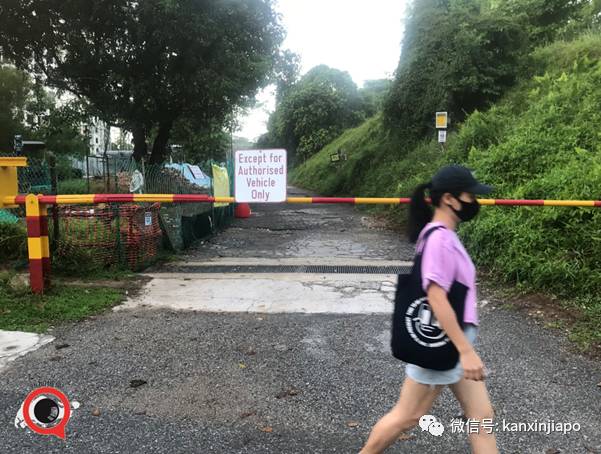 昨天小長假人山人海，武吉知馬老鐵路成新景點！前生今世大揭秘