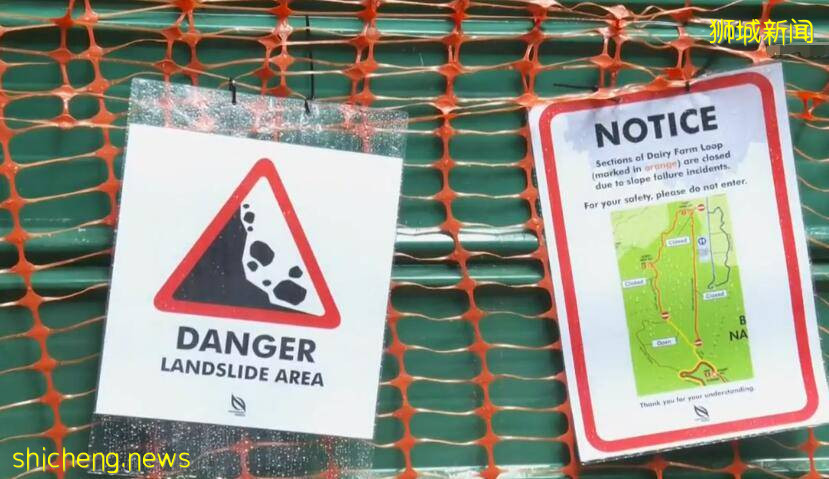 太嚇人了！新加坡被大雨淋到山體滑坡，20年來屬首次