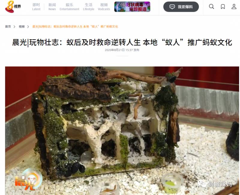 亞洲第一的螞蟻博物館居然在新加坡