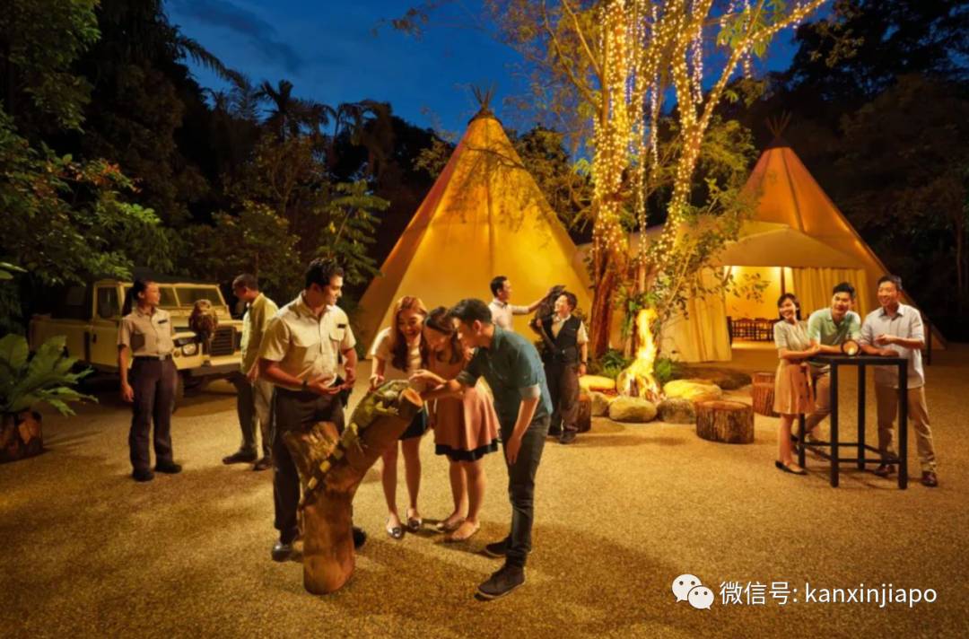新加坡夜間野生動物園，現在可以搭帳篷吃晚餐了