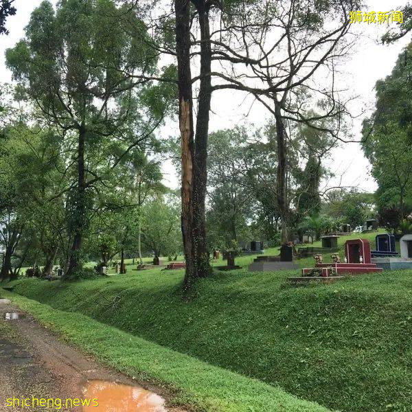 新加坡這個全新骨灰撒土園,太美了