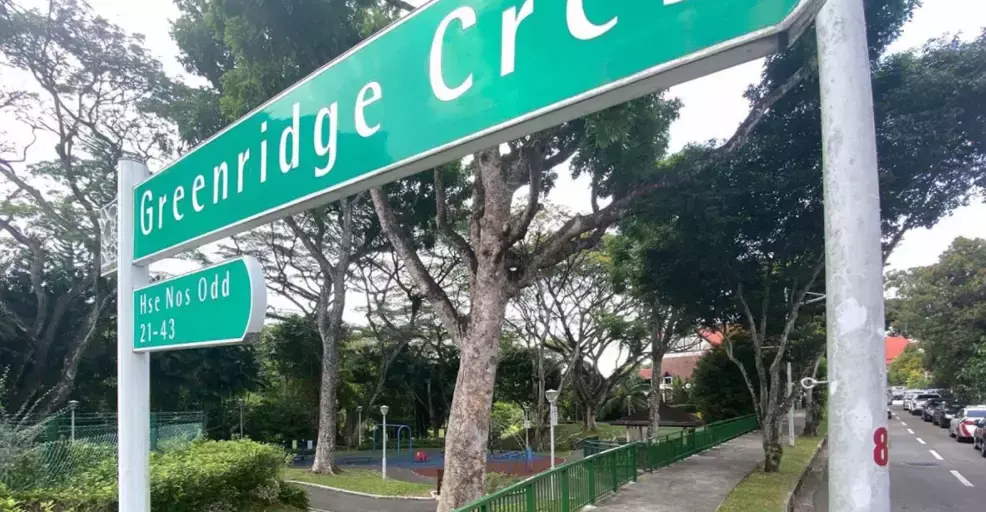 或死刑!新加坡亲父杀双胞胎,昨天正式被控!中国这个事也刷屏了