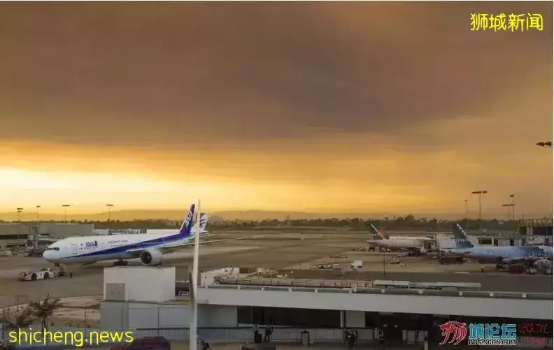 放宽入境的新加坡航空有多“野”?日本、印度、欧美统统“加飞”