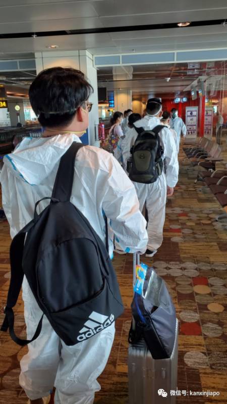 成功从新飞回厦门，核酸检测报告一天就出炉