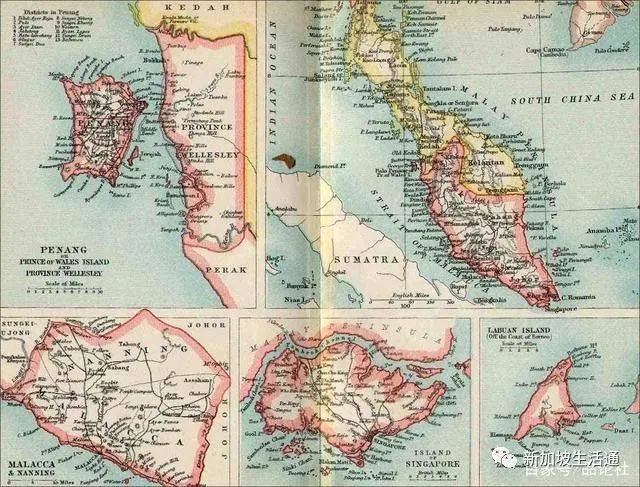 以华人为主的新加坡,为何没能成为东方大国的铁杆盟友