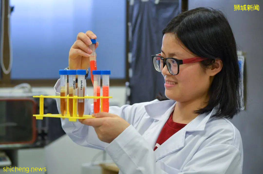 好消息!NUS理学院硕士项目开通优先录取啦