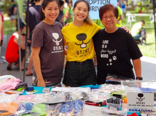 周末去哪玩？一起來探索新加坡本地人都不知道的新奇活動和景點吧