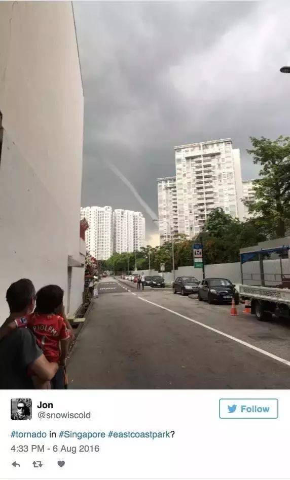 罕見!新加坡聖淘沙這條河變成了粉色,驚現大批死魚!39年創記錄暴雨太作了