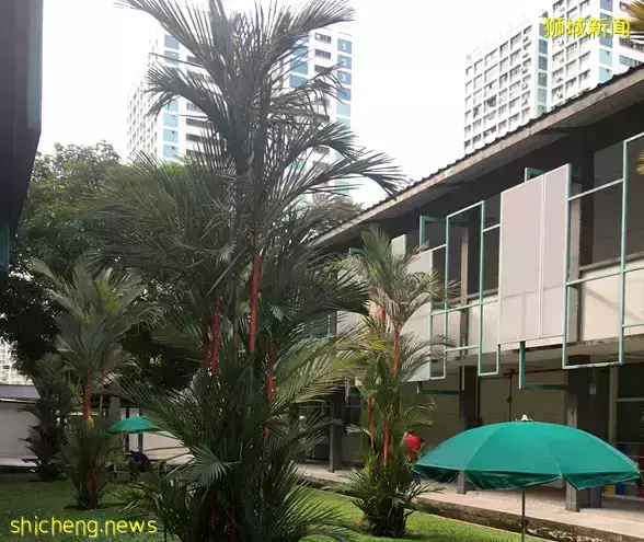 最新！学生证如何入境新加坡？建议收藏