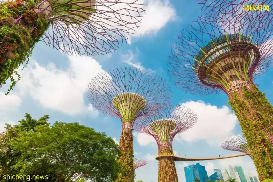 又是想去新加坡旅游的第N+1天！先收藏这份‘新加坡旅行攻略’来解馋吧