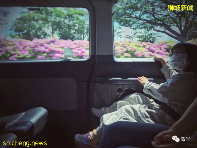 爲了回新加坡,一家3口買高價票,隔夜中轉28小時!