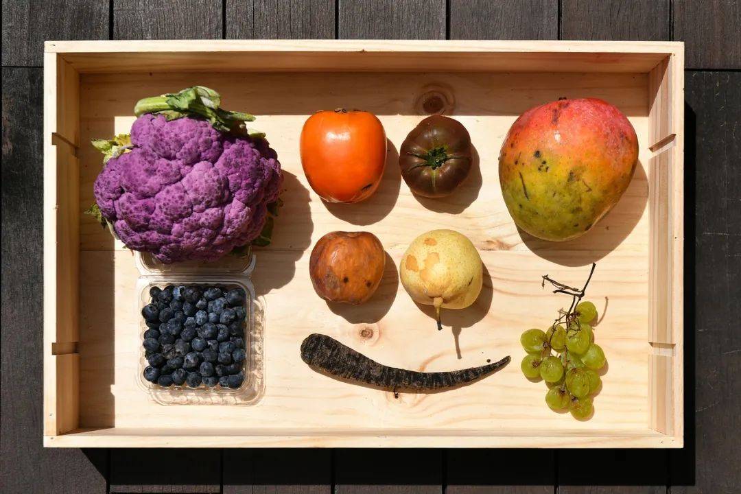 把新加坡的垃圾变废为宝？这四种方法告诉你如何为食物垃圾增值