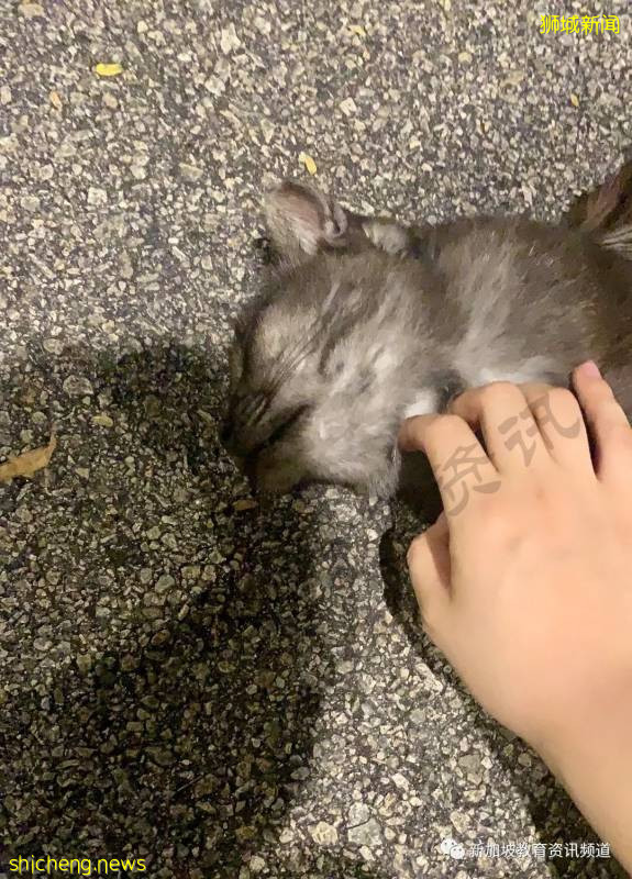 留學在外，也有家的溫暖 ——新加坡南洋理工大學（NTU）宿舍介紹