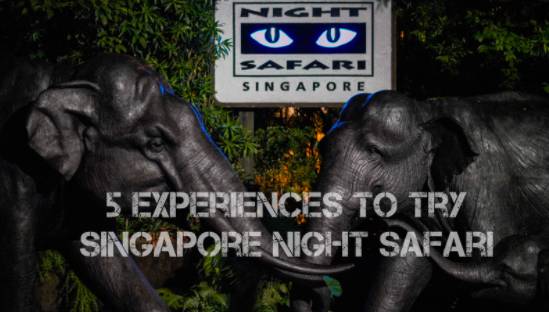 坡島夜生活出行指南！90s旱冰Disco club、室內mini高爾夫bar、高能版密室逃脫等你來玩