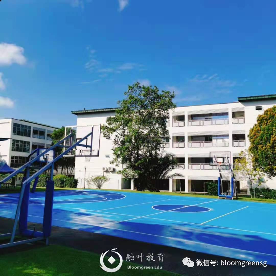 【融葉推薦】新加坡國際社區學校ICS國際學校