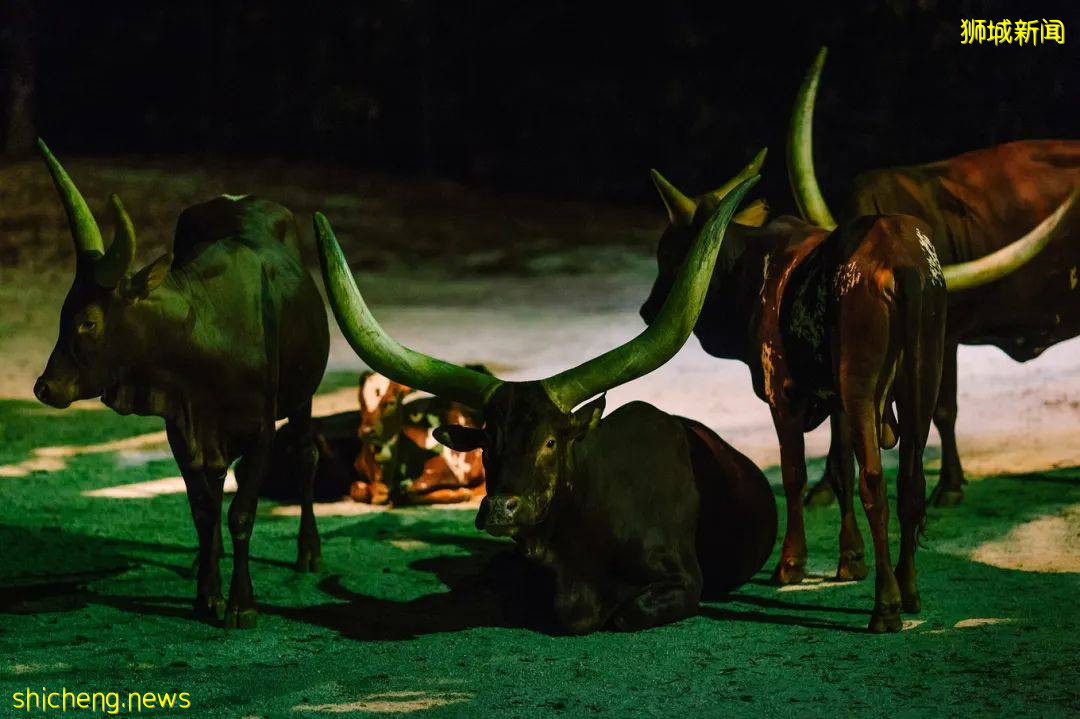 漫遊獅城 爲什麽這裏是網紅打卡地