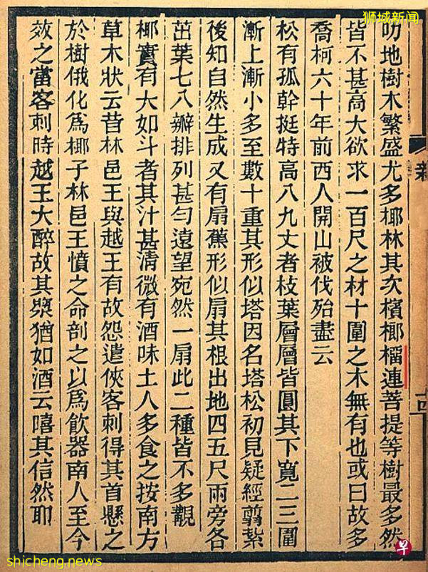 有“三保公大便”之稱的榴梿，緣何成南洋華人集體記憶