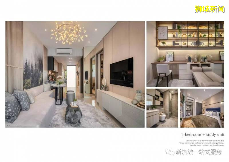 新加坡大學優勢和申請新