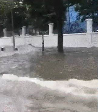 今天,新加坡被大暴雨淹沒了!