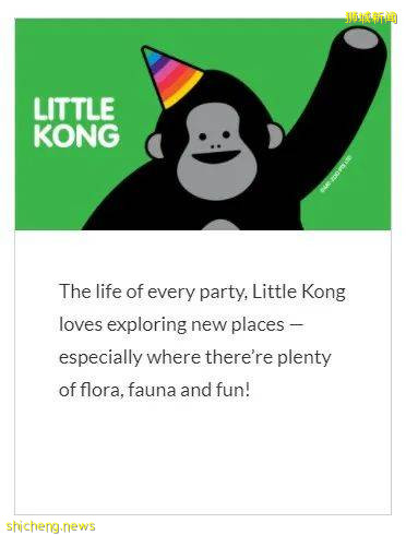 刷爆Insta的Art Zoo奇幻动物园登陆滨海湾花园!大朋友小朋友们快来打卡吧