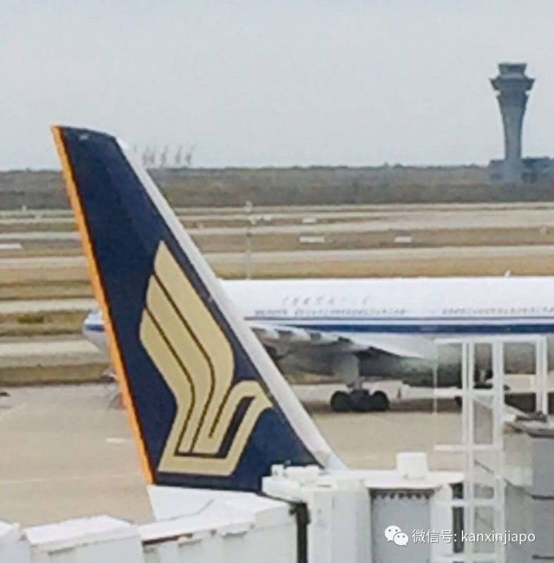 中国妈妈和新加坡爸爸+女儿,从上海入境新加坡的回家之路