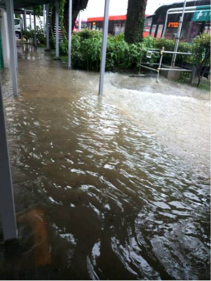 昨天!新加坡遭40年来最强暴雨袭击,全岛多处被洪水淹没,驾车犹如水中行船