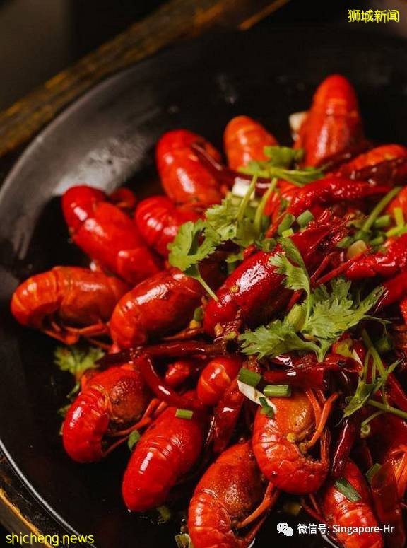 火爆新加坡的美食,吃貨的您有必要了解一下哦